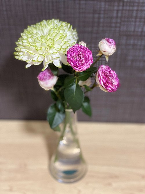 占い師さやののお気に入り写真2